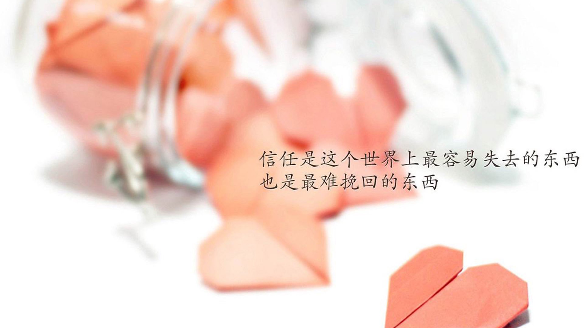 全国青少年武艺比赛释放青春热情,全国青少年俱乐部武术套路赛