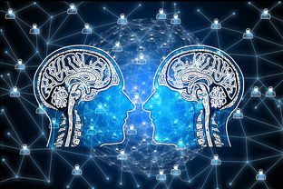 九游网页版-篮球专项技能动作视频资源开发及多媒体教学，篮球动作技术