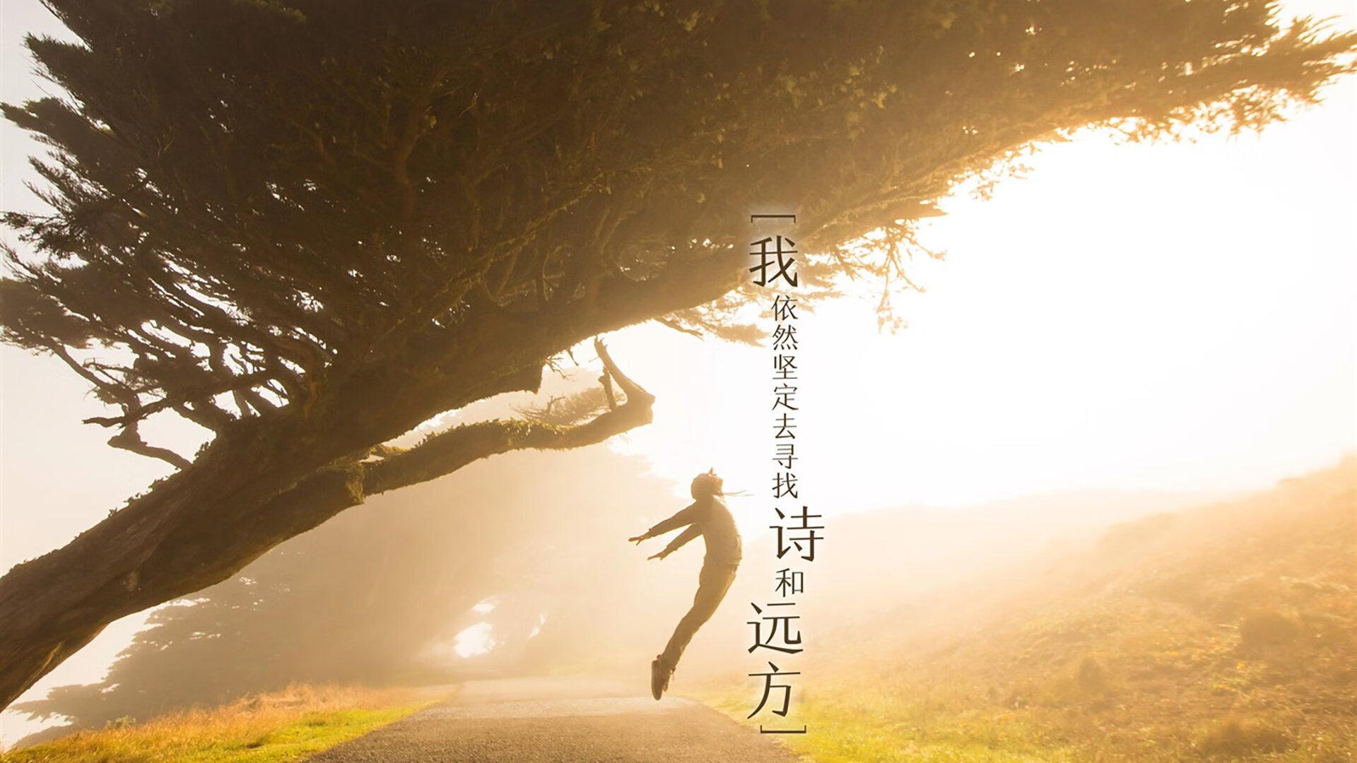 体育文化节展演民族体育焕发新活力,体育文化艺术节主题