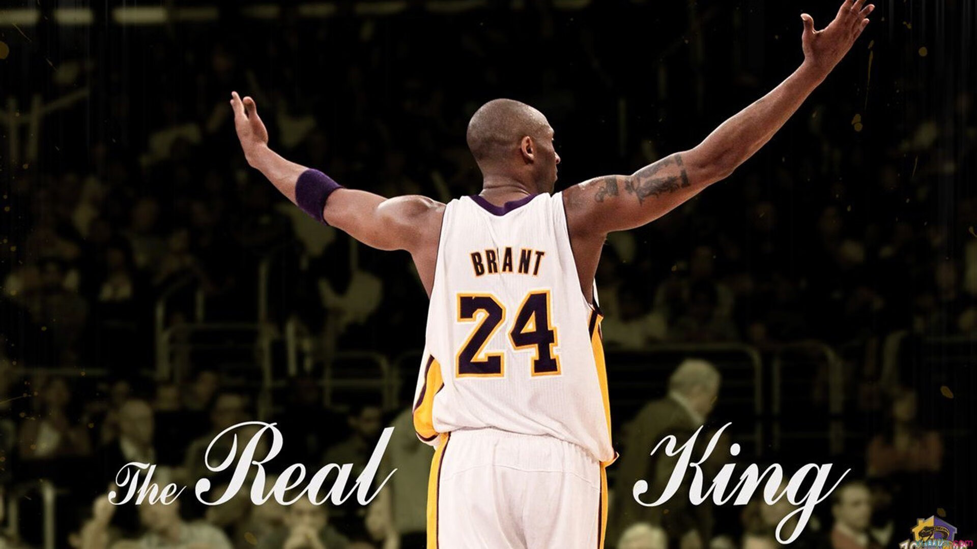 九游app下载-《高校电子竞技专业全覆盖，培养电竞精英》，高校开设电子竞技专业